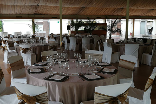 el jardin de las palmeras